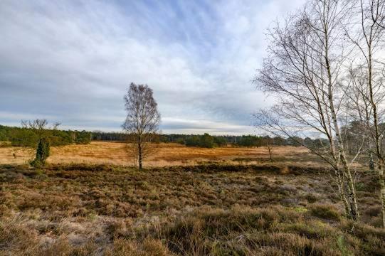 Vakantiebungalow De Schaapskooi Epe Exteriör bild